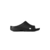Balenciaga x Crocs Sandale „Black” 793445W1S8E1000