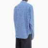 Cămașă cu mâneci lungi, cu dungi subțiri și logo pe toată suprafața „Blue” 662983TGLB95531