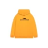 Hanorace „Year Of The Tiger” cu croială medie „Orange” 600583TLVI67702