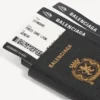Husă de telefon pentru pașaport pentru bărbați, de culoare neagră