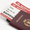 Husă pentru telefon și pașaport pentru bărbați, în nuanța burgund