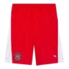 Pantaloni scurți de fotbal Sporty B „Roșu” 641609TJV056540